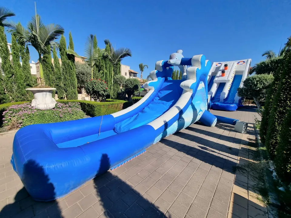 מתנפח הדולפין 6