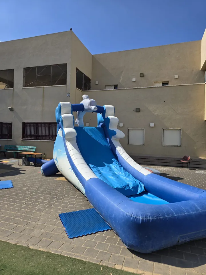 מתנפח הדולפין 8