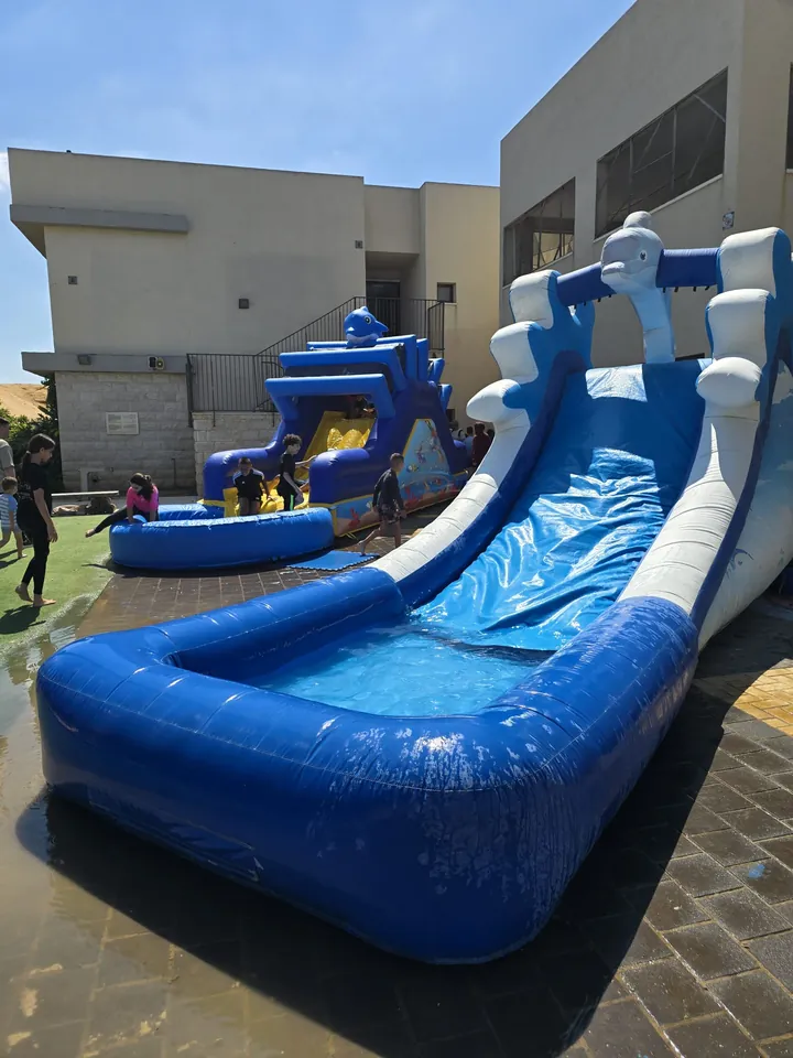 מתנפח הדולפין 9