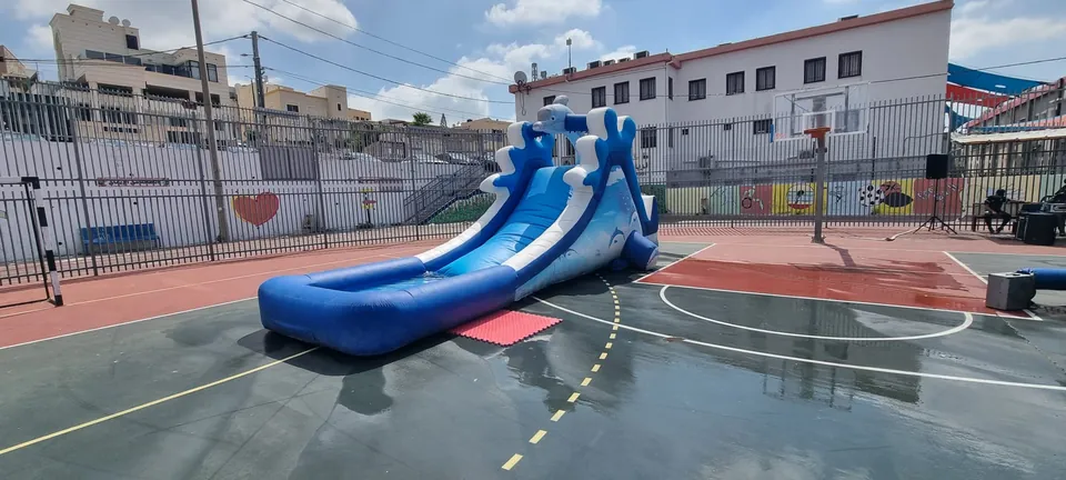 מתנפח הדולפין 10
