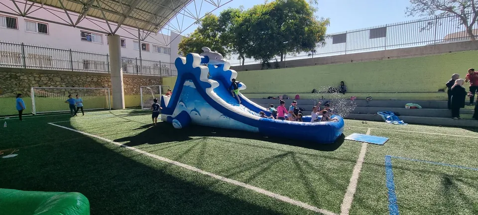 מתנפח הדולפין 12