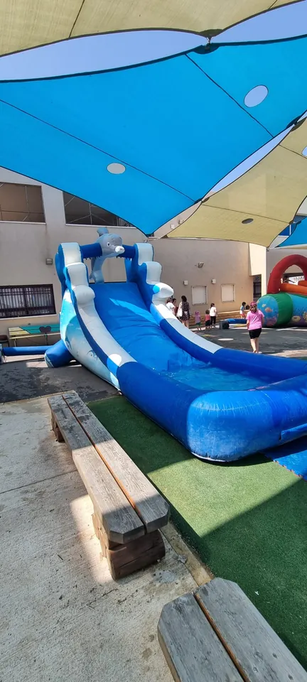 מתנפח הדולפין 15