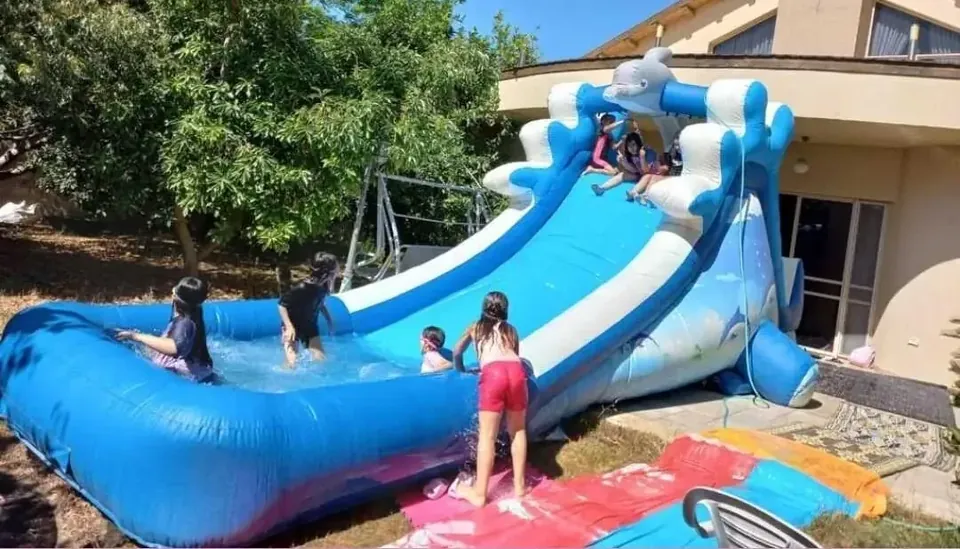 מתנפח הדולפין 16