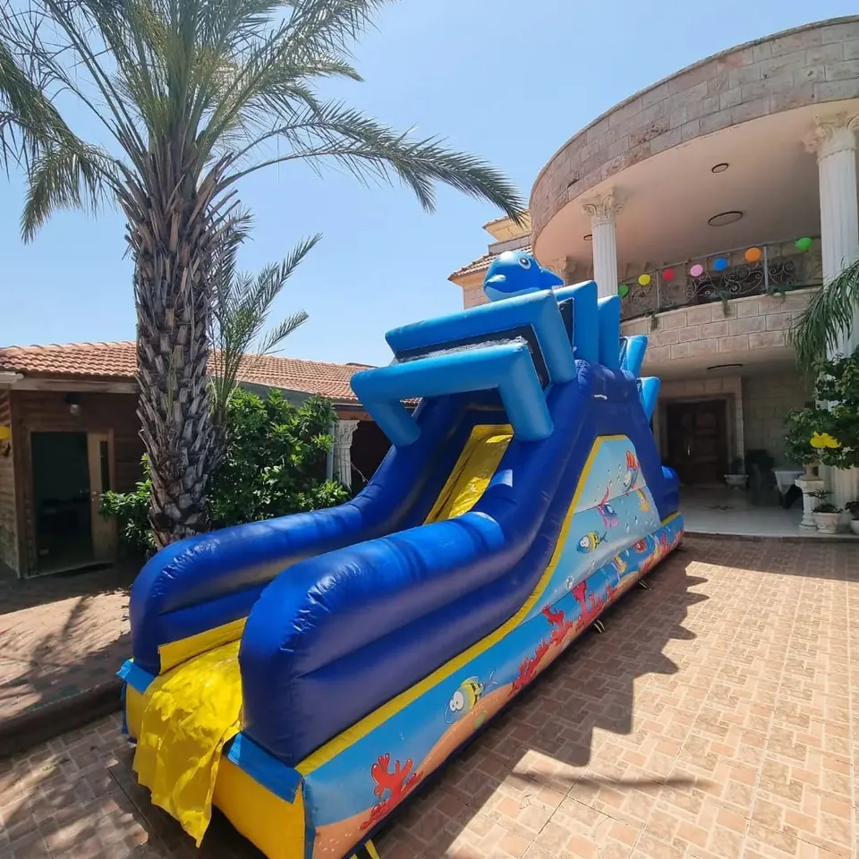 מתנפח הדגים (יבש) 2