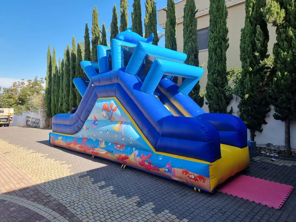 מתנפח הדגים (יבש) 3
