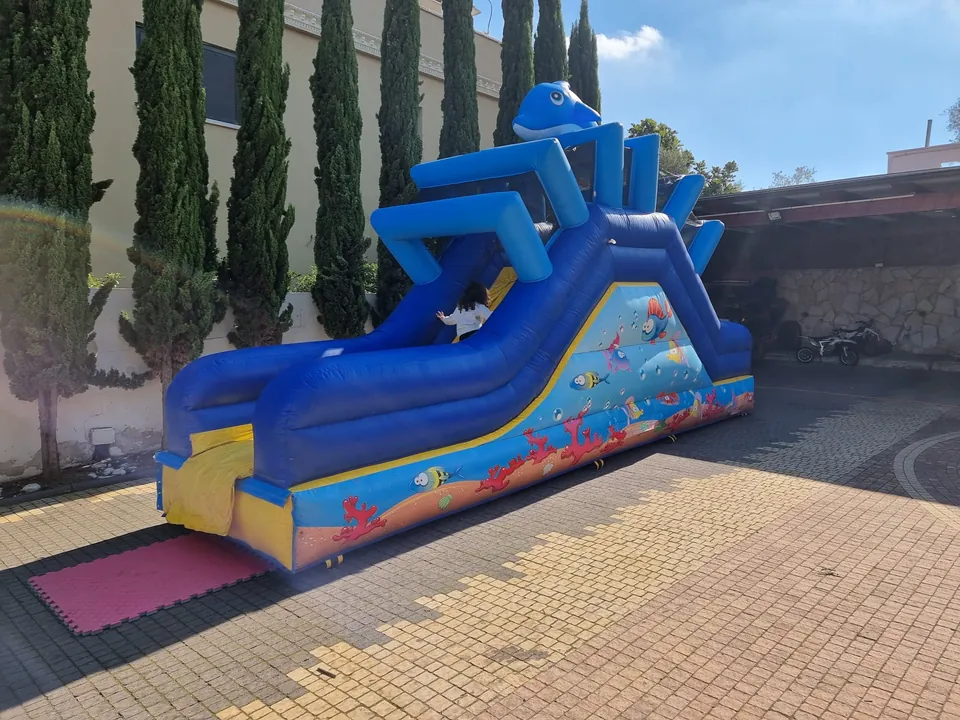 מתנפח הדגים (יבש) 5